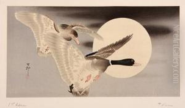 Birds In Flight - view 1