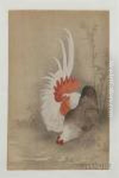 Hen And Rooster - view 1