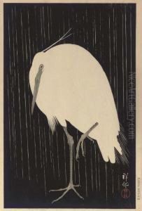 Standing Heron In Rain