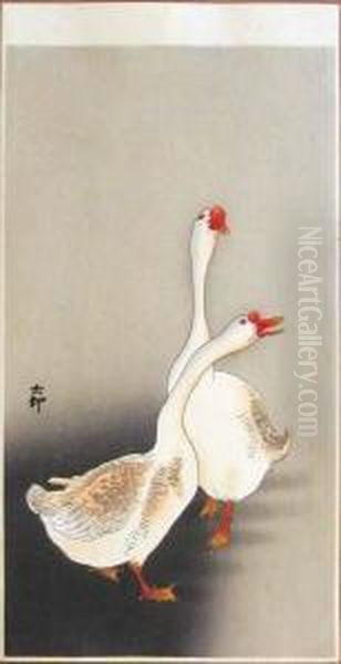 Two Geese - view 1