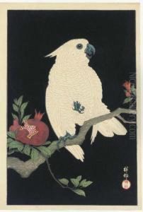 Cockatoo And Pomegranate by Ohara Koson