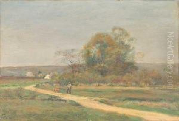 ''a Road To The Beach'' - view 1