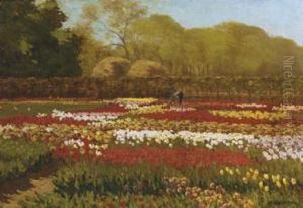 A Beautiful Day In A Tulipfield - view 1