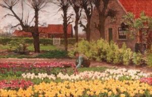 A Bulb-farm
