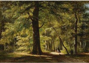 Walking The Dog In The Woods Of Haarlemmerhout