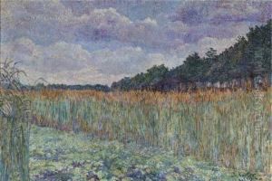 A Cornfield by Jo Koster Van Hattum