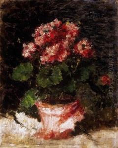Rose-coloured Geranium, 1930s - view 1