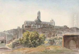 The Cathedral from S. Domenico, Siena