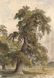 The park at Shrubland Hall, Suffolk