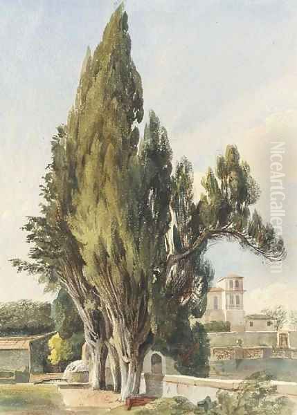 Cypresses at the Villa Albani - view 1