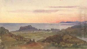 View of Nice at sunset by Harriet Cheney