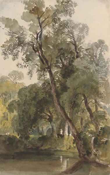A woodland pond at Badger Dingle, Shropshire - view 1