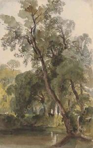A woodland pond at Badger Dingle, Shropshire by Harriet Cheney