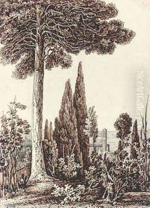 An Italianate tower observed through the trees