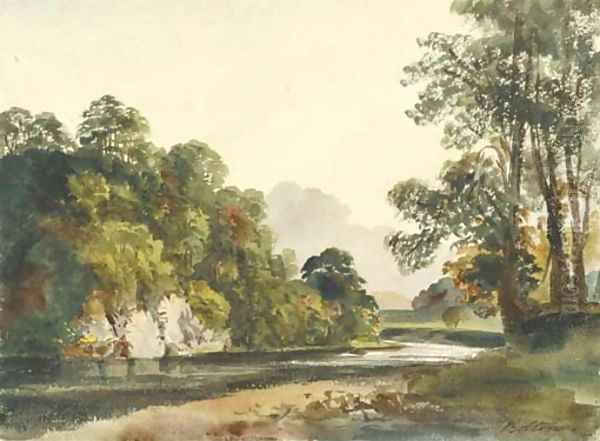 Bolton River, Yorkshire - view 1