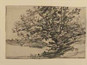 Study of Trees by J. Frank Currier