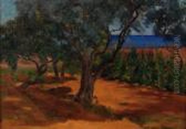 L'uliveto - view 1
