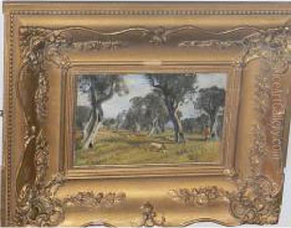 Pascolo Tra Gli Ulivi - view 1