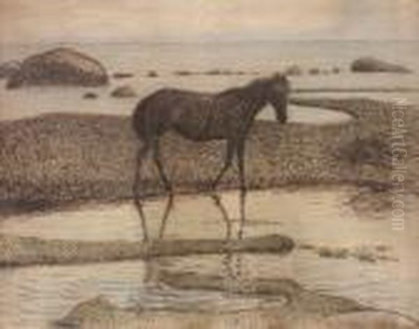 Sommarnatt - Olandsk Strandbild - view 1