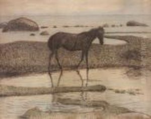 Sommarnatt - Olandsk Strandbild