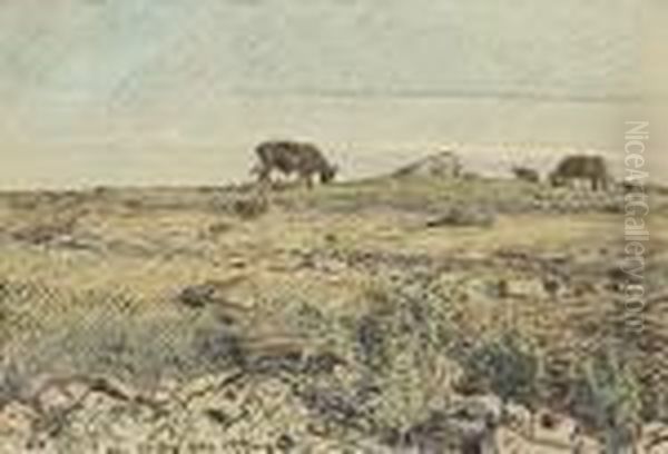 Kor Pa Alvaret - view 1