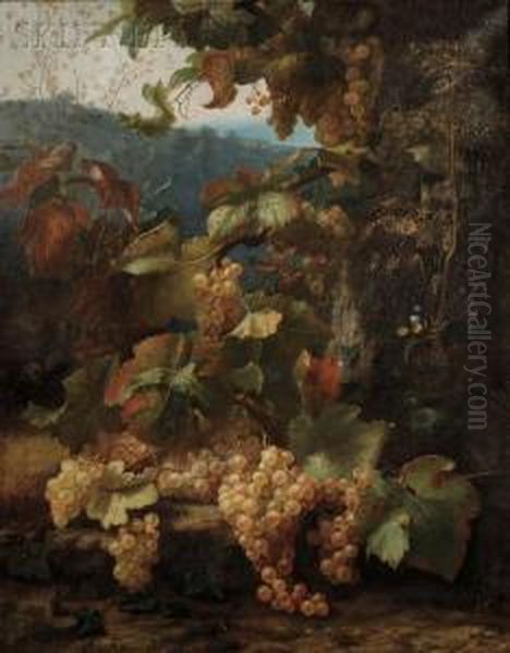 Landscape With Grapes On The Vine - view 1