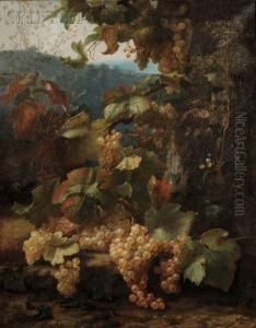 Landscape With Grapes On The Vine by Alexis Kreyder