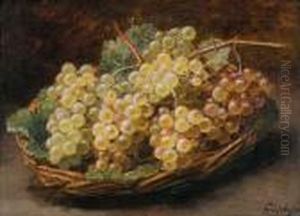 Corbeille De Raisins Blancs by Alexis Kreyder