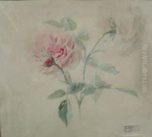 Etude De Roses by Alexis Kreyder