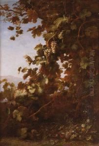 Parra Con Uvas, Insectos, Frutas Y Flores 1873 by Alexis Kreyder