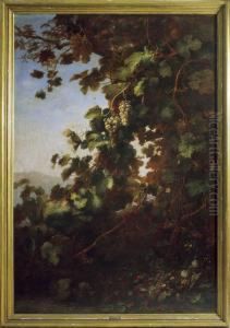 Les Raisins Et La Vigne by Alexis Kreyder
