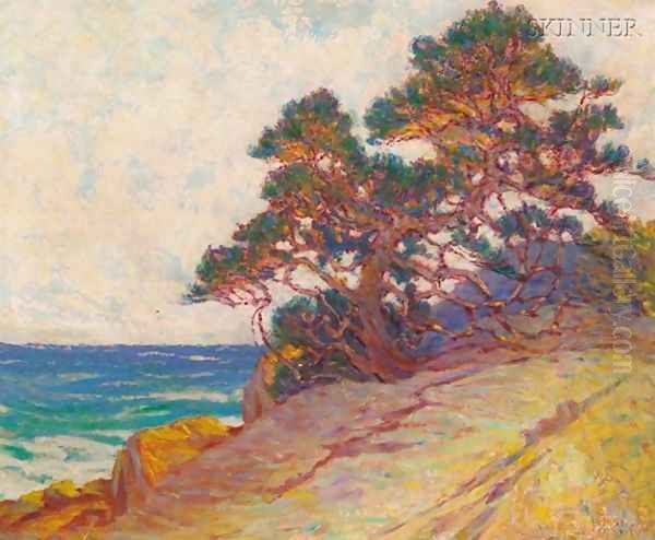 Windblown pine - view 1