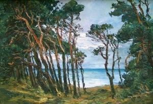 Kiefernbestandene Dune Mit Meerblick