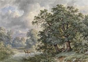 Aulandschaft Mithirschen by Josef Nikolaus Kriehuber