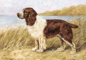 A cocker spaniel
