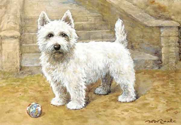 A westie - view 1