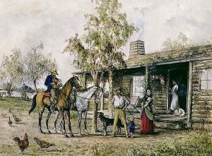 The Homesick Pioneer Woman by J. Comins