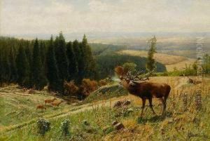Rohrender Hirsch