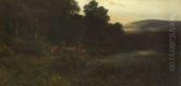 Rotwild Am Waldrand. - view 1