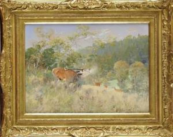 Cerf Dix Cornes Au Brame - view 1
