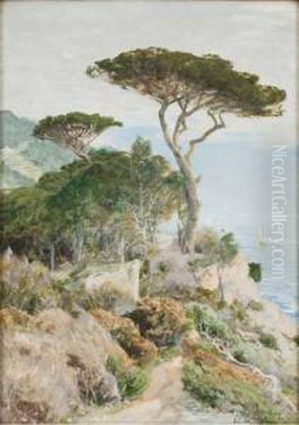 Untitled - view 1
