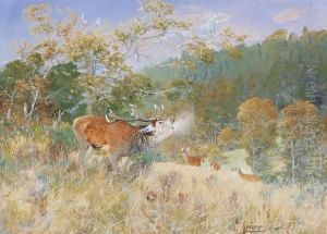Cerf Qui Brame by Christian Johann Kroner