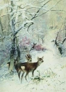 Rehe Im Winterwald Rehe Im Winterwald