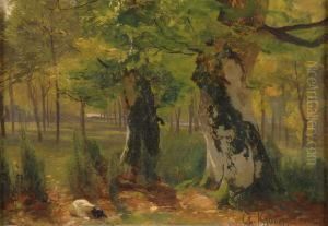Waldlichtung Mit Ruhendem Jagdhund. Waldlichtung Mit Ruhendem Jagdhund.