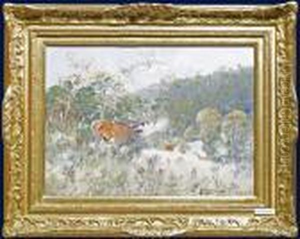 Rohrender Hirsch. - view 1