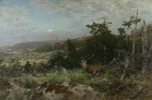Rothirsch In Weiter Sommerlandschaft by Christian Johann Kroner