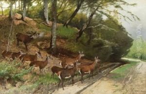 Hirsch Und Hirschkuhe An Einem
Waldweg. by Christian Johann Kroner
