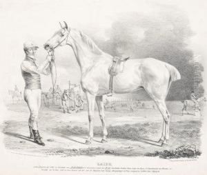 Pferdedarstellungen by Franz Krutger
