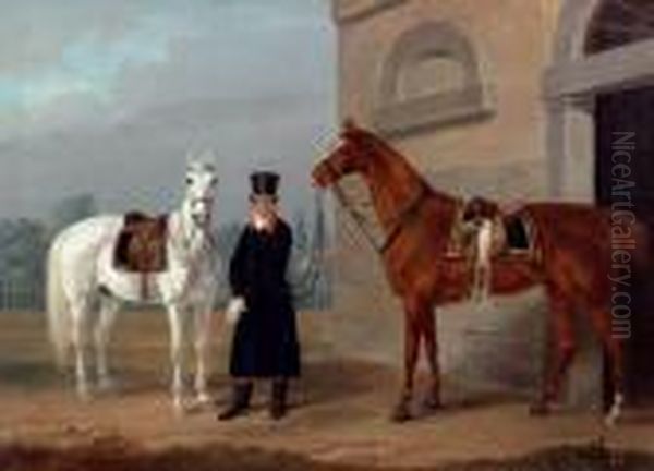 Two Horses - view 1