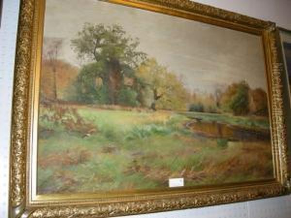 Dammen Hallands Vadero - view 1